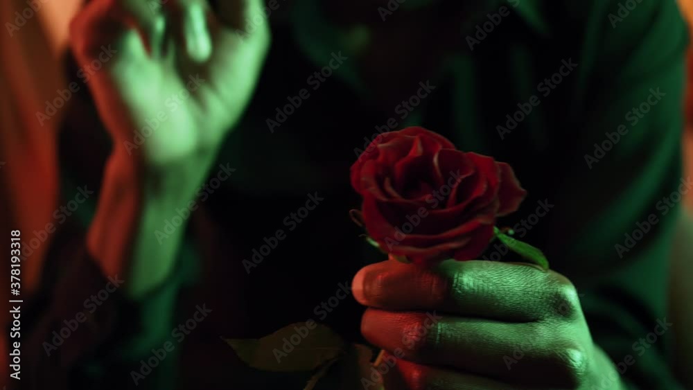 Hand plucking red rode petals in green light, close up, effeuiller la marguerite
