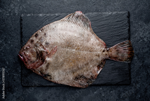 Canvastavla raw flounder with spices on a stone background