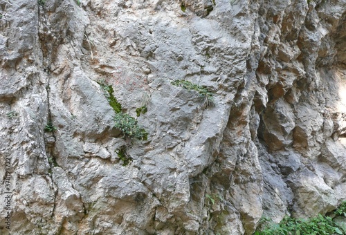 wall texture