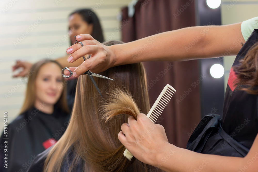 Naklejka premium Womens hairdresser, beauty salon. Professional stylist cuts female hair in salon