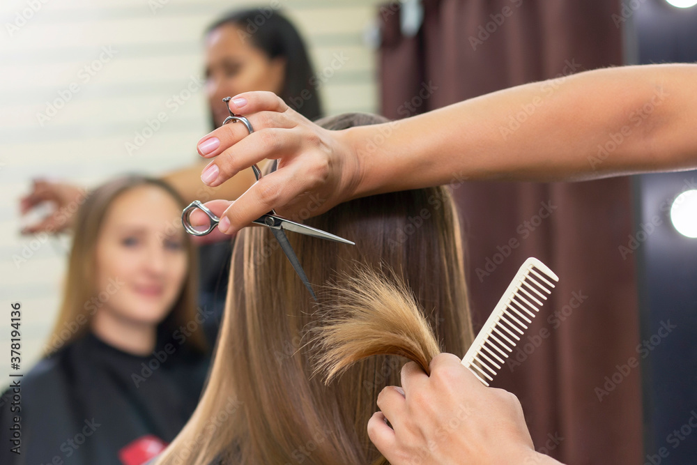 Fototapeta premium Womens hairdresser, beauty salon. Professional stylist cuts female hair in salon