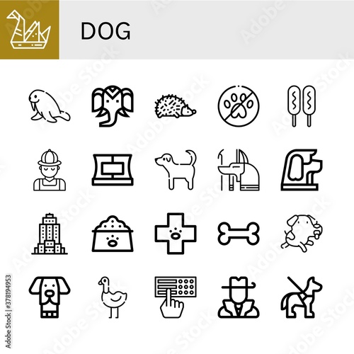 dog simple icons set