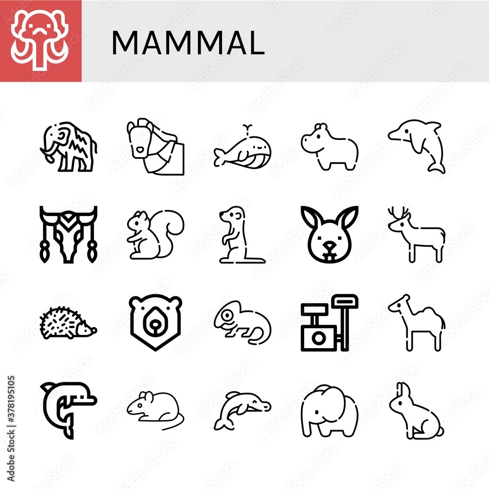Set of mammal icons