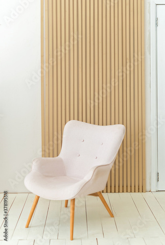Armchair in living room. Interior design