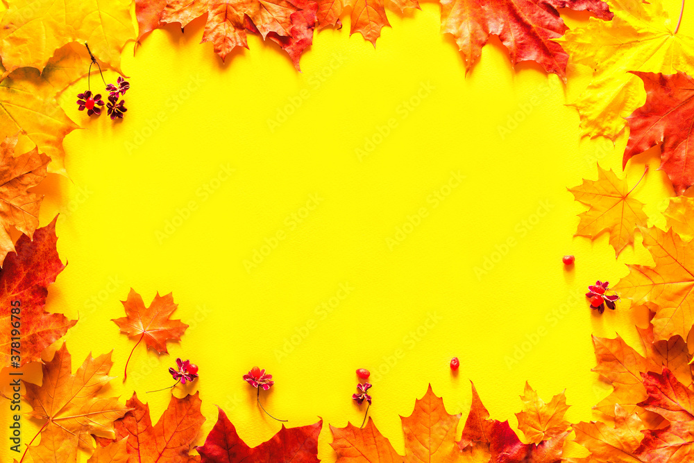 Autumn bright background frame. Yellow-red autumn maple leaves on a yellow background, top view, copy space, flat lay. Autumn bright background frame. Yellow-red autumn maple leaves on a yellow background, top view, copy space, flat lay.