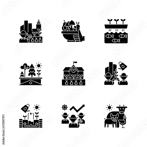 Agricultural business flat design long shadow glyph icons set. Urban farming. Healthy food. Vegetables from farmer. Aquaponic production. Silhouette symbols. Vector isolated illustration