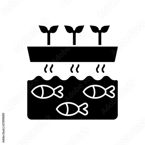 Aquaponics black glyph icon. Fish tank with water. Drain drip to tunk for nourishment. Hydroponic production. Agricultural business. Silhouette symbol on white space. Vector isolated illustration