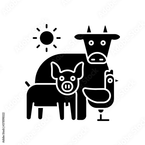 Animal husbandry black glyph icon. Farm livestock. Breeding cattle. Farmland production. Pig and chicken. Agriculture business. Silhouette symbol on white space. Vector isolated illustration