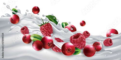Cranberries and raspberries on a yogurt or milk wave.