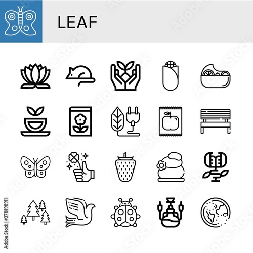 leaf simple icons set
