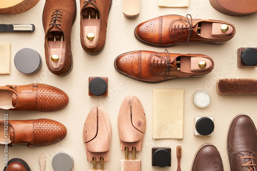 Set of elegant shoes and cleaning supplies