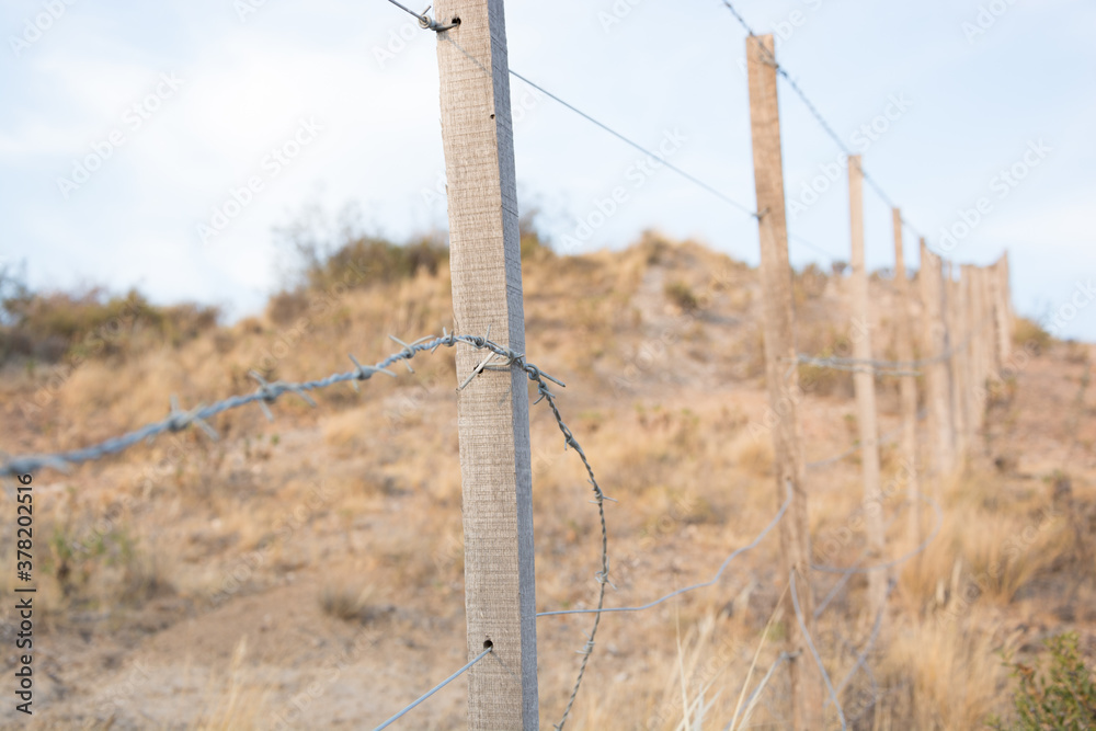 Fototapeta premium Cercos de campo