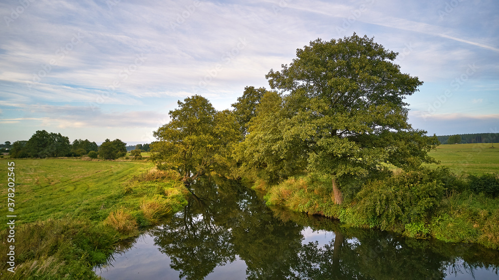 Summer background with alder tree on riverbank. Agriculture fields after harvest
