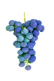 A branch of grapes on a white background