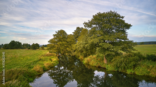 Obraz na płótnie Summer background with alder tree on riverbank. Agriculture fields after harvest w salonie