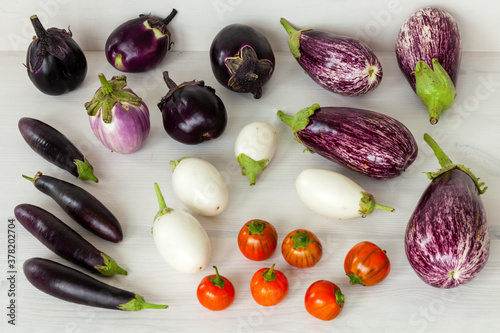 Variety of eggplants. Different sizes, shapes and colors aubergine vegetable cultivars top view. photo