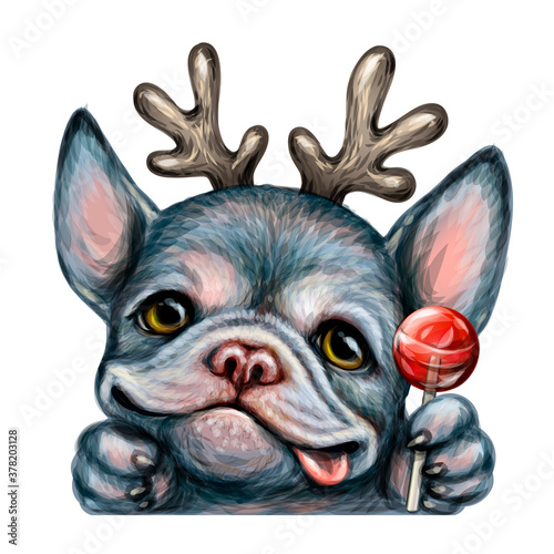 A bulldog puppy. wall sticker. Color realistic portrait of a happy bulldog with horns holding a Lollipop in its paw. Watercolor style. Separate layer.