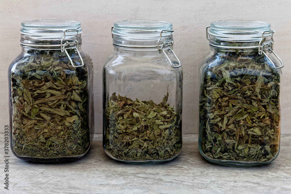 Dried herbs in glass jars: mint and lemon balm. Healthy lifestyle, herbalism and alternative medicine. Dried herbs in glass jars: mint and lemon balm. Healthy lifestyle, herbalism and alternative medicine.