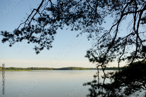 Beautiful view of Bebrusai lake, surrounded by dense pine forests. Moletai region, famous or its lakes. © MNStudio