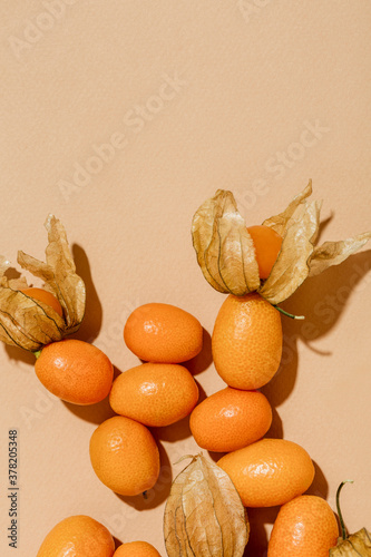 Physalis with kumquat photo