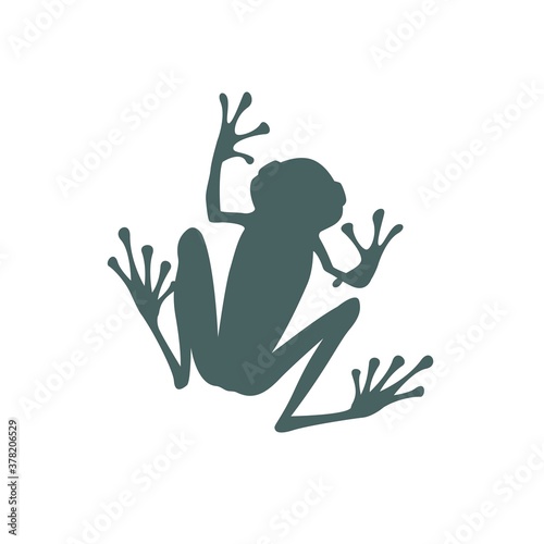 Dark silhouette of frog on white background  icon of tropical animal