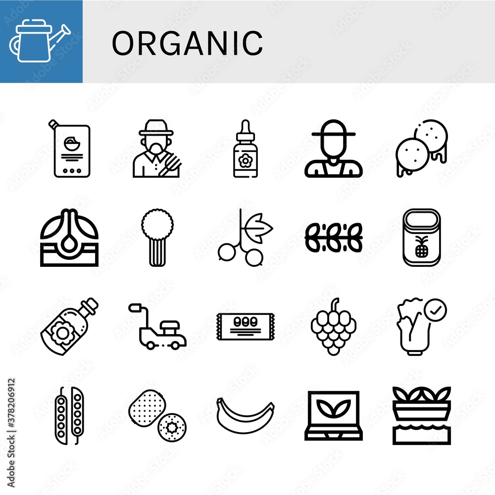 organic icon set organic icon set
