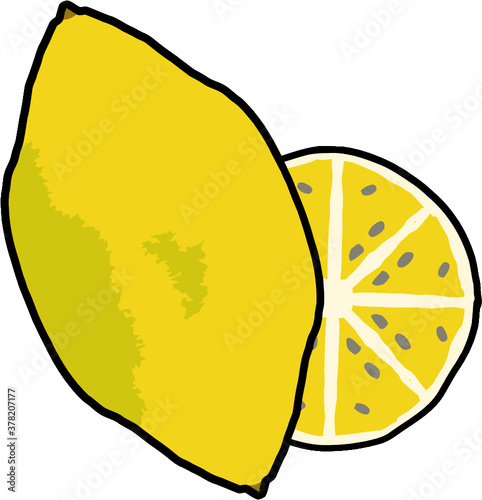 hand drawn cartoon style lemon