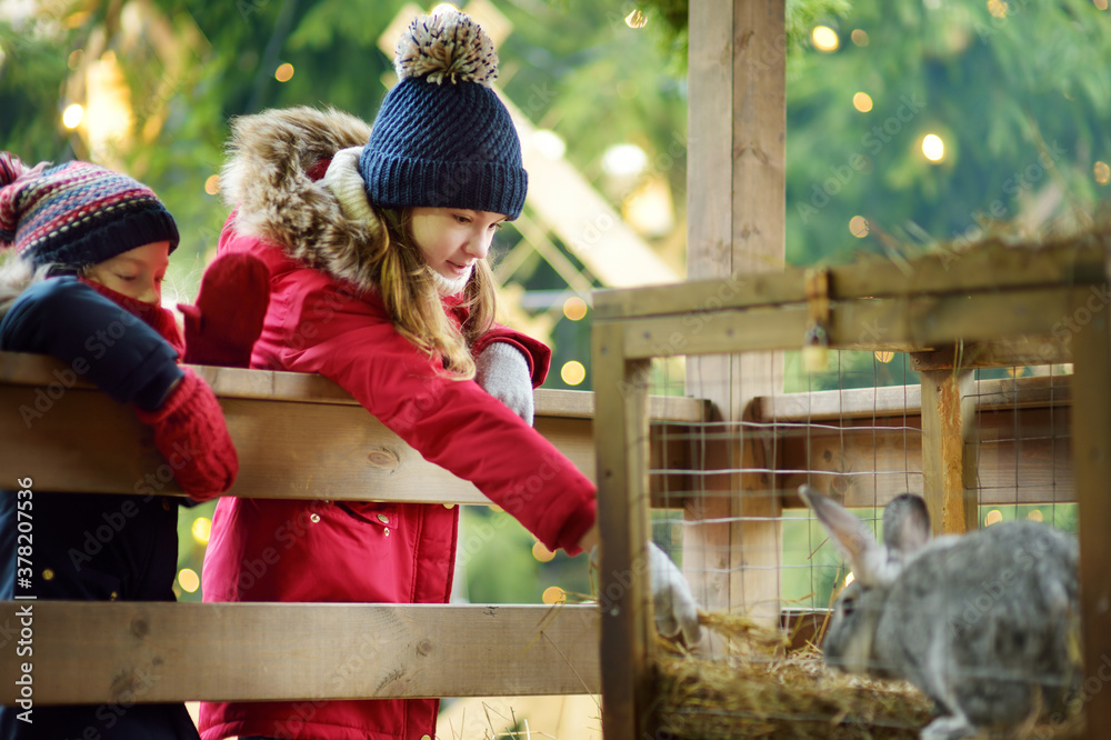 Cute young girl having fun feeding bunnies and sheep in a small petting zoo on traditional Christmas market in Riga, Latvia. Happy winter activities for kids.