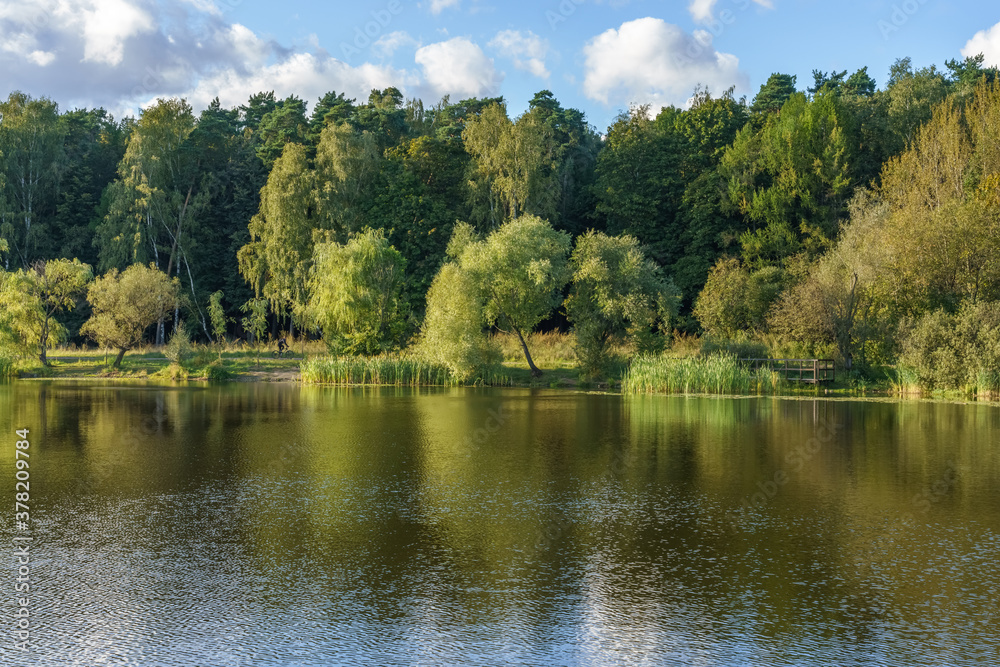 Nature, environment and ecology concept. Lake in the park, green trees by the lake reflected in water. Summer or early fall, nature landscape. Moscow parks. Calm and tranquility.