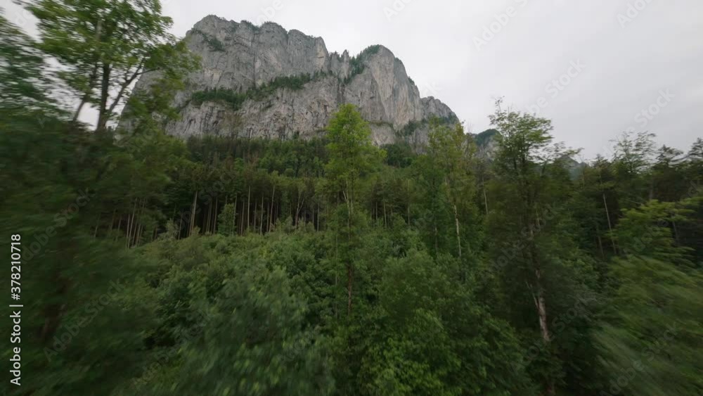 First person view of flying through high trees revealing a big mountain First person view of flying through high trees revealing a big mountain