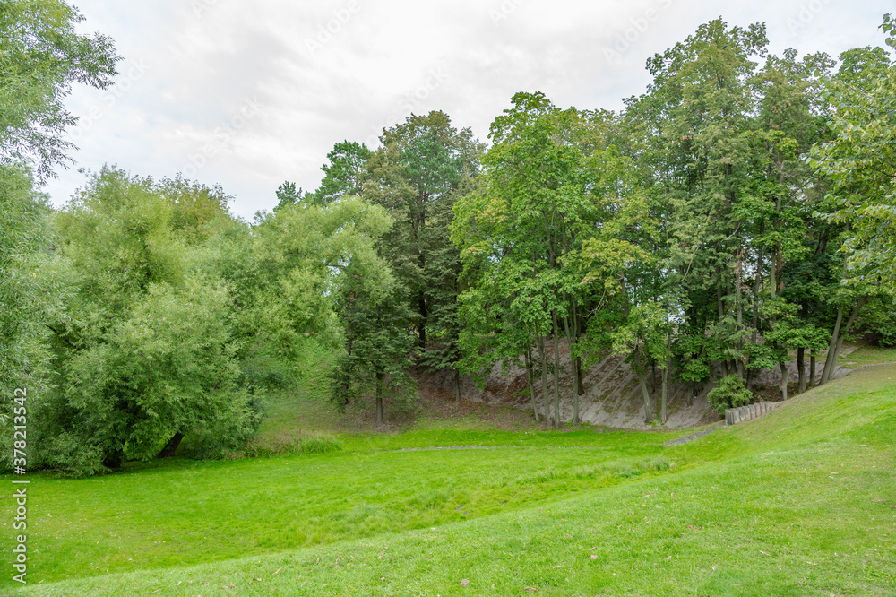 Green grass in the recreation area of the city summer park Green grass in the recreation area of the city summer park