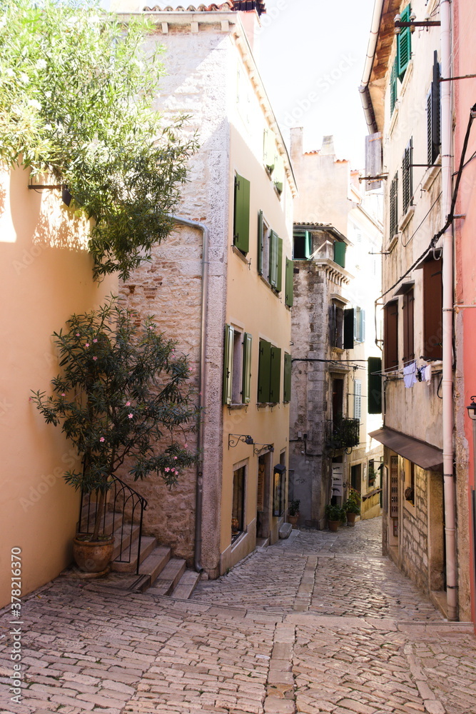 Obraz premium Typique ruelle étroite pavée et colorée parsemée de plantes à Rovinj en Croatie
