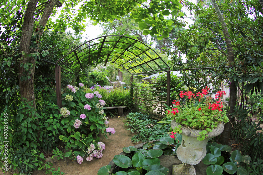 Lush garden - The Ashcombe Maze and Lavender Gardena, Victoria, Australia Lush garden - The Ashcombe Maze and Lavender Gardena, Victoria, Australia