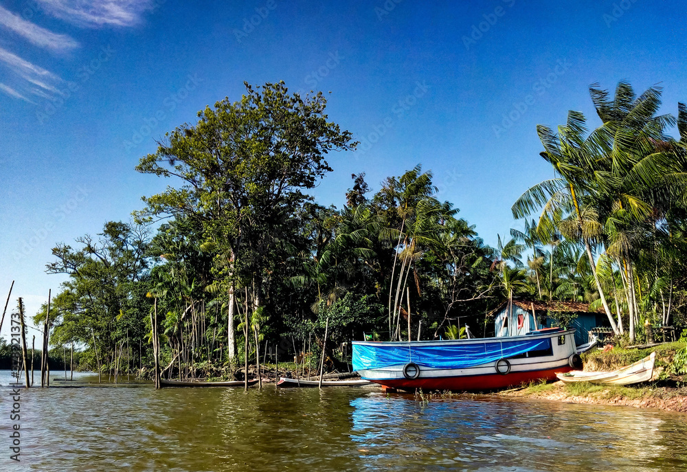 barco na beira do rio, árvores diversas, árvores de açaí, dia ensolarado, céu azul barco na beira do rio, árvores diversas, árvores de açaí, dia ensolarado, céu azul