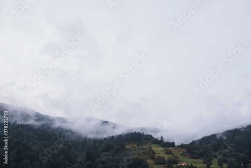 rocky high mountains. tops in the snow. tall spruce in the foreground. Forest fog laid on the tops of the trees weather mountains. Clouded Mountainside and Evergreen Tree Scape. 