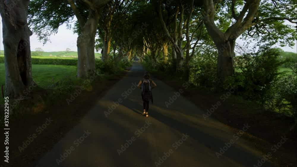 Tracking shot, woman walks down Irish road under tree canopy Tracking shot, woman walks down Irish road under tree canopy