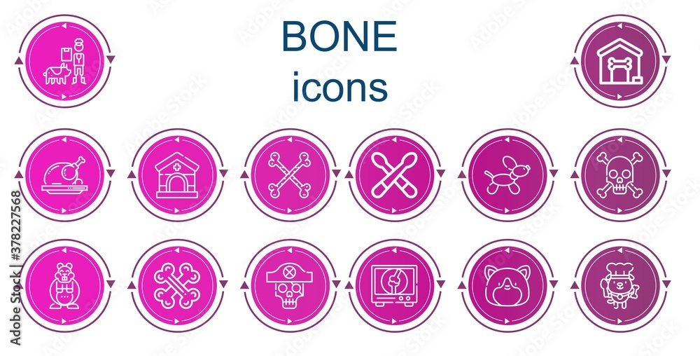 Editable 14 bone icons for web and mobile Editable 14 bone icons for web and mobile