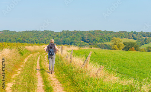 Fields and trees in a green hilly grassy landscape under a blue sky in sunlight at fall, Voeren, Limburg, Belgium, September 11, 2020