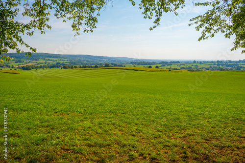 Fields and trees in a green hilly grassy landscape under a blue sky in sunlight at fall  Voeren  Limburg  Belgium  September 11  2020