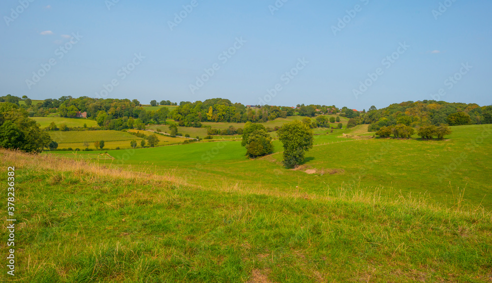 Fields and trees in a green hilly grassy landscape under a blue sky in sunlight at fall, Voeren, Limburg, Belgium, September 11, 2020