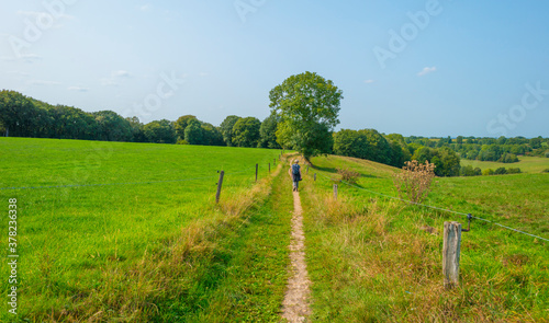 Fields and trees in a green hilly grassy landscape under a blue sky in sunlight at fall, Voeren, Limburg, Belgium, September 11, 2020