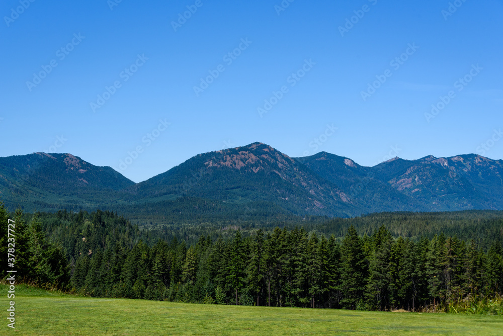 Golf course tee box with grand view of evergreen trees, mountains, and blue sky
