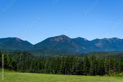 Golf course tee box with grand view of evergreen trees, mountains, and blue sky 