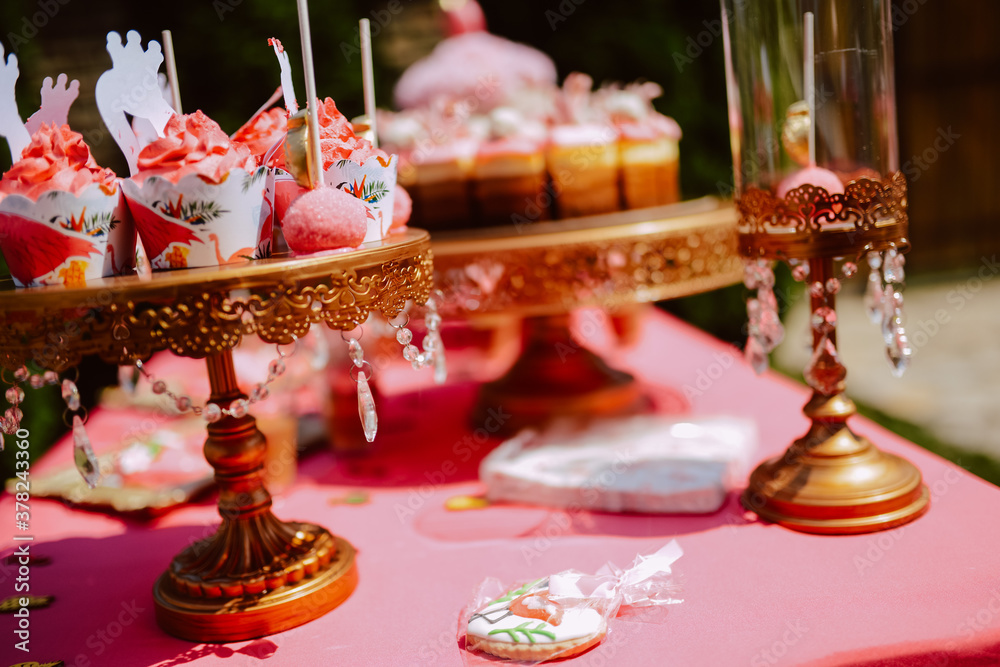 Cute pink table for a summer party in the yard. Pink cakes and treats on the table