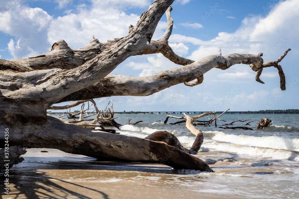 Bones Beach, Little Talbot Island, Florida Bones Beach, Little Talbot Island, Florida