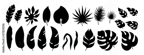 Exotic leaves black silhouette set. Tropical foliage  flat monochrome plants. Monstera  branches and wild leaf collection. Hawaiian hand drawn glyph jungle. Vector illustration on white background