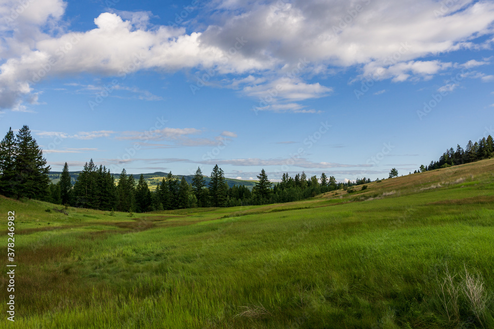 a hill covered with lush green grass under a blue sky with clouds in British Columbia Canada