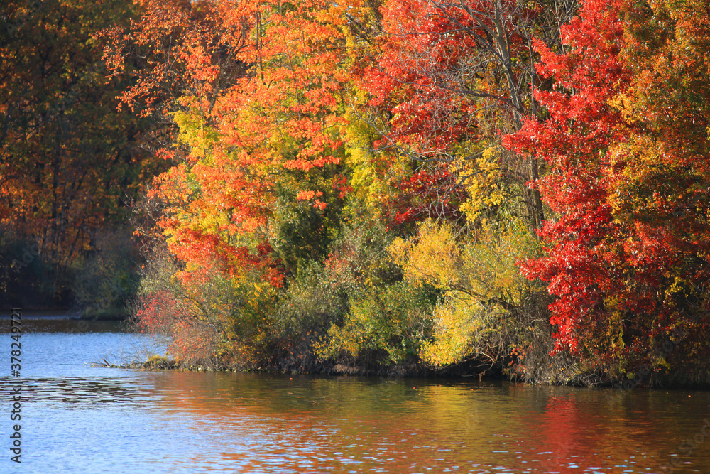 Bright fall foliage in rural Michigan
