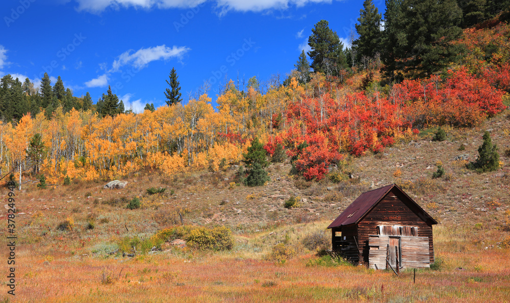 Old abandoned cabin with fall foliage in rural Colorado
Old abandoned cabin with fall foliage in rural Colorado