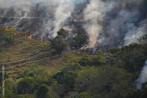 Forest fire disaster in Monte Alegre do Sul, Sao Paulo, Brazil. 8 September-2020